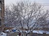 Wallpaper - Quetta Snowfall January 2012 (23) - 4608 x 3456